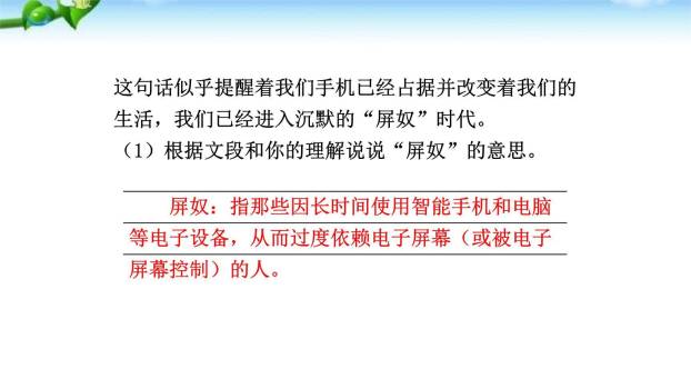 我们的互联网时代PPT课件34