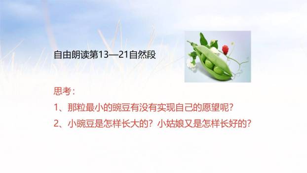一个豆荚里的五粒豆PPT课件11