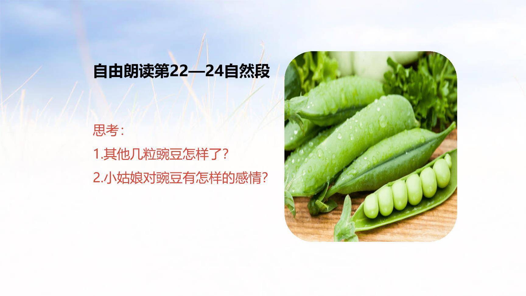 一个豆荚里的五粒豆PPT课件17