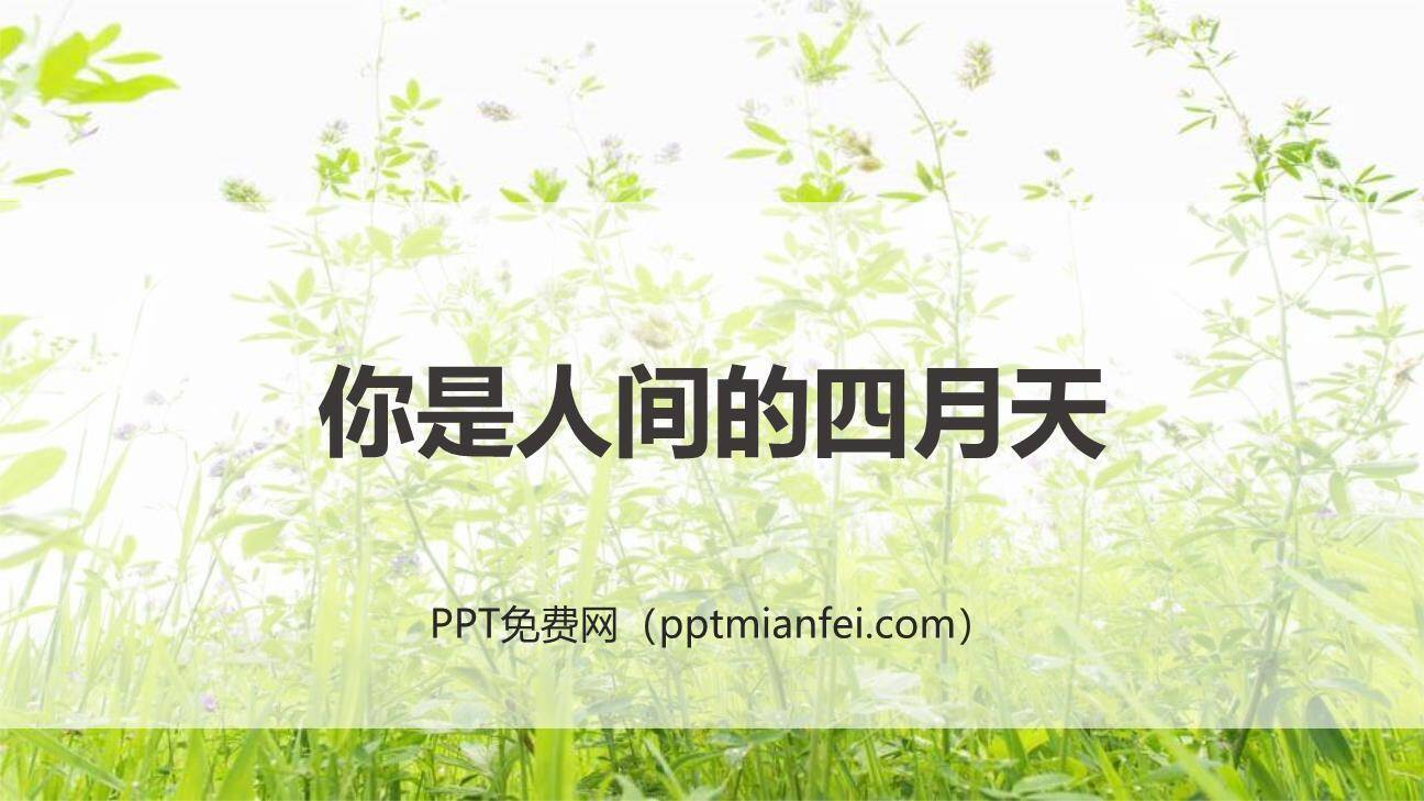 你是人间的四月天PPT课件80