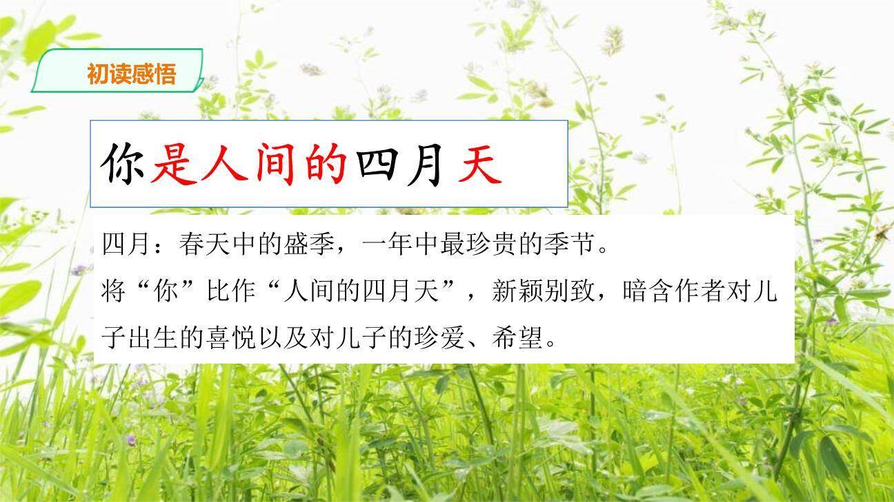 你是人间的四月天PPT课件81