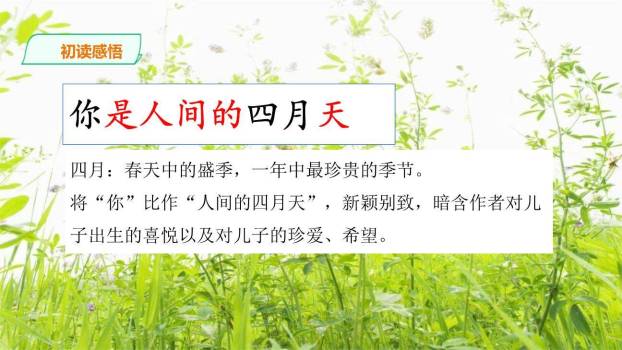 你是人间的四月天PPT课件81