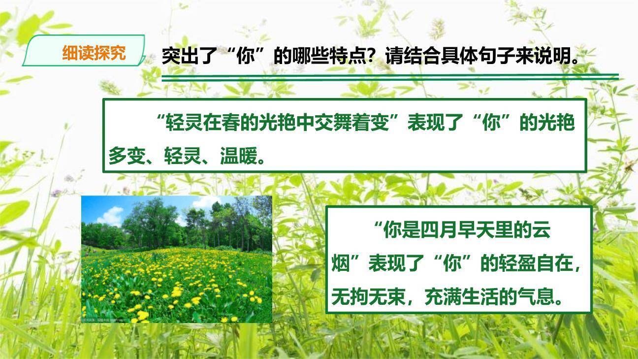 你是人间的四月天PPT课件83