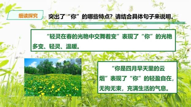 你是人间的四月天PPT课件83