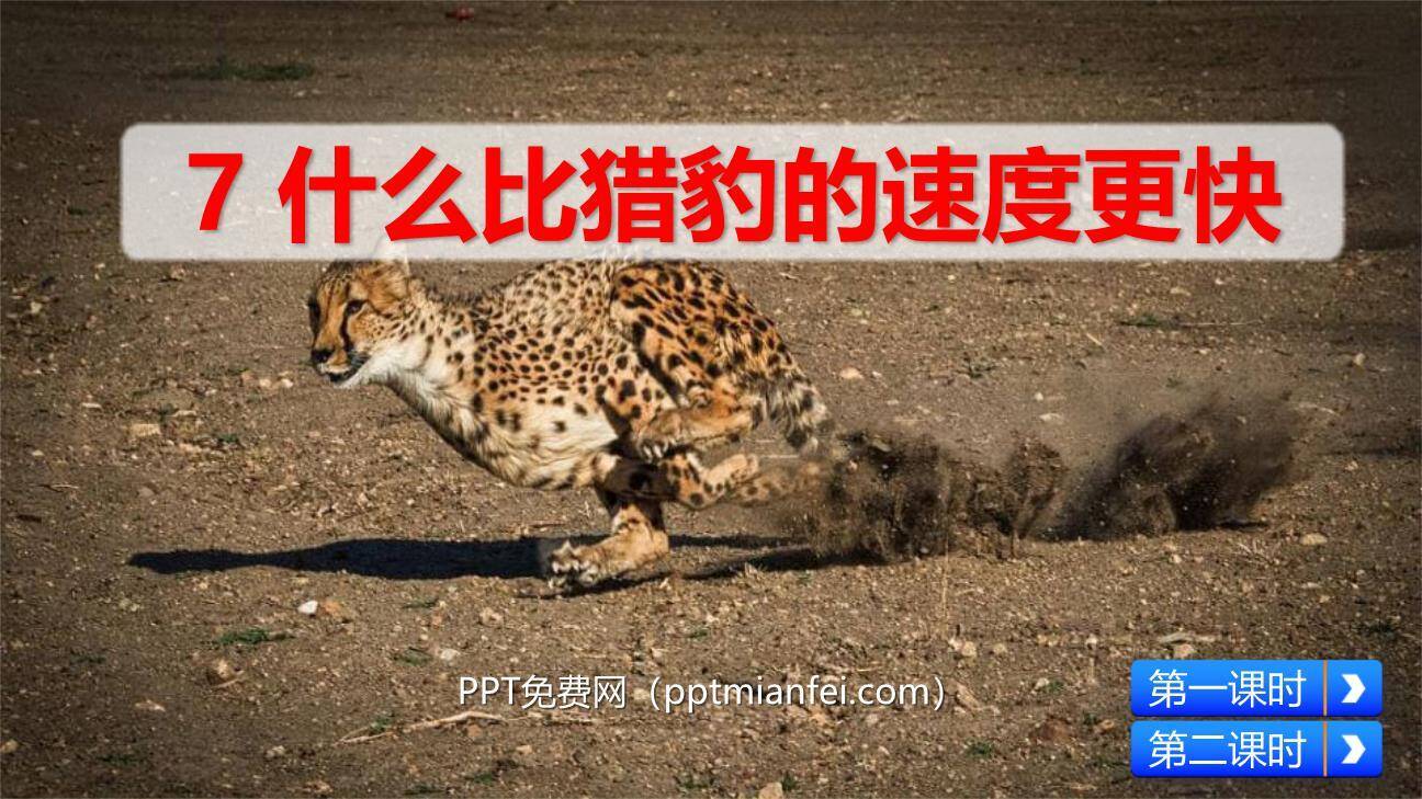什么比猎豹的速度更快PPT课件70