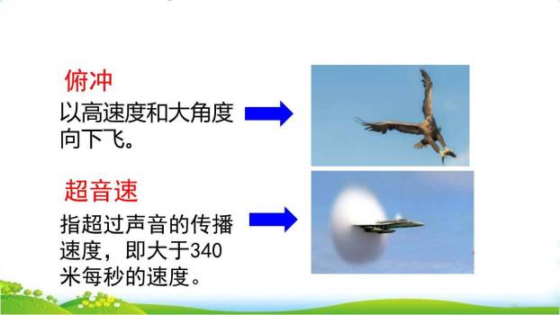 什么比猎豹的速度更快PPT课件76