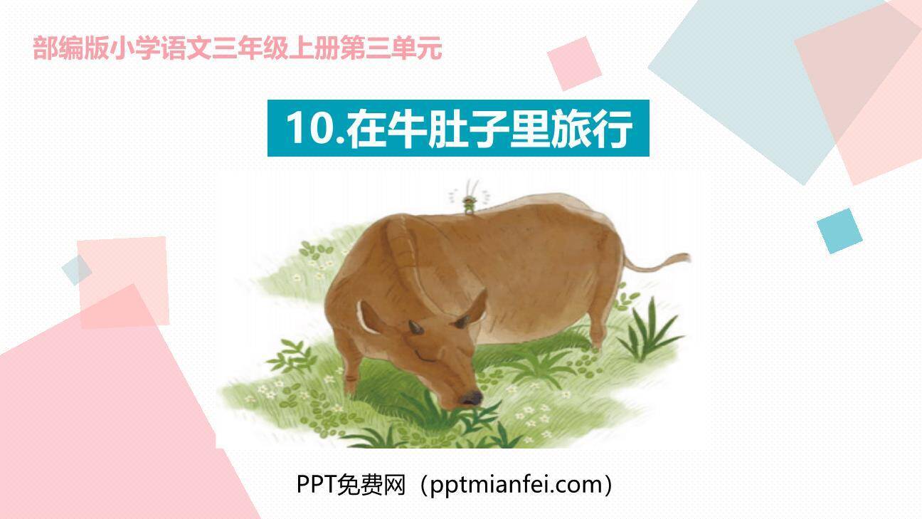 在牛肚子里旅行PPT课件30