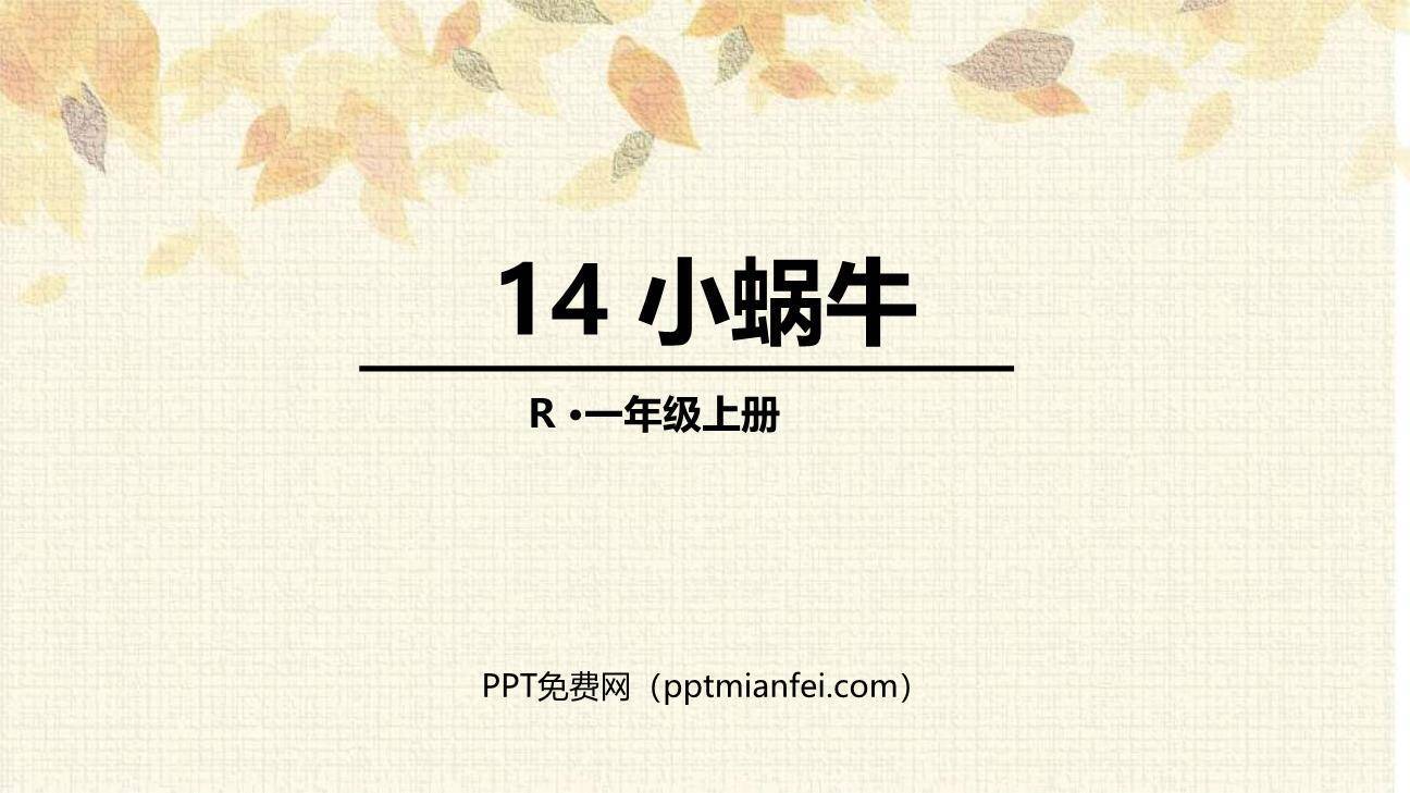 小蜗牛PPT课件50