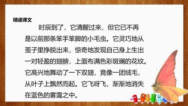 小毛虫PPT课件33