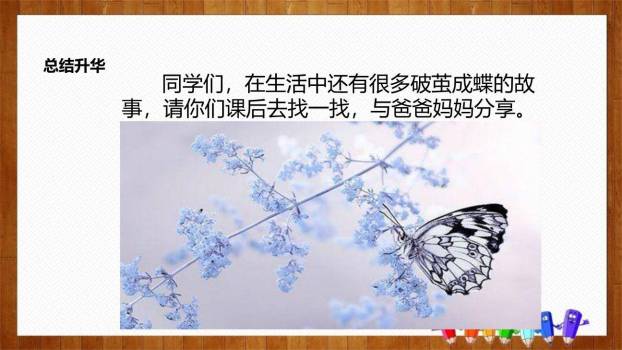 小毛虫PPT课件36