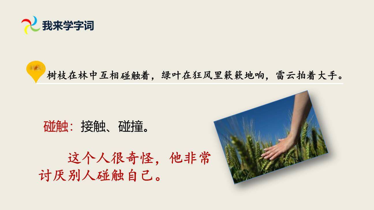 花的学校PPT课件22