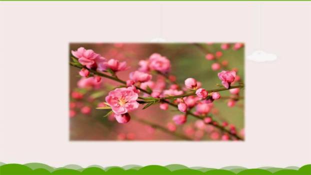 雨点儿PPT课件49