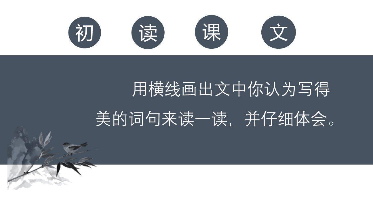 鸟的天堂PPT课件88