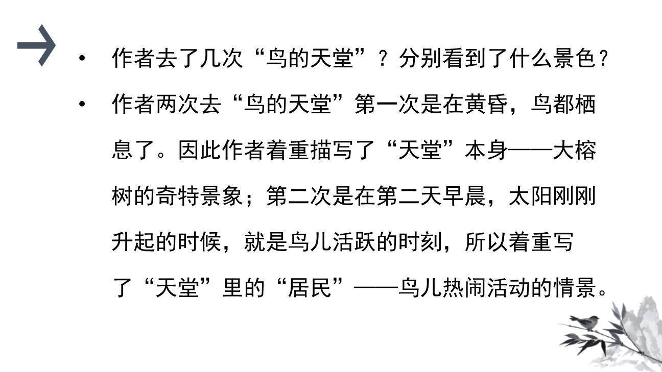 鸟的天堂PPT课件89