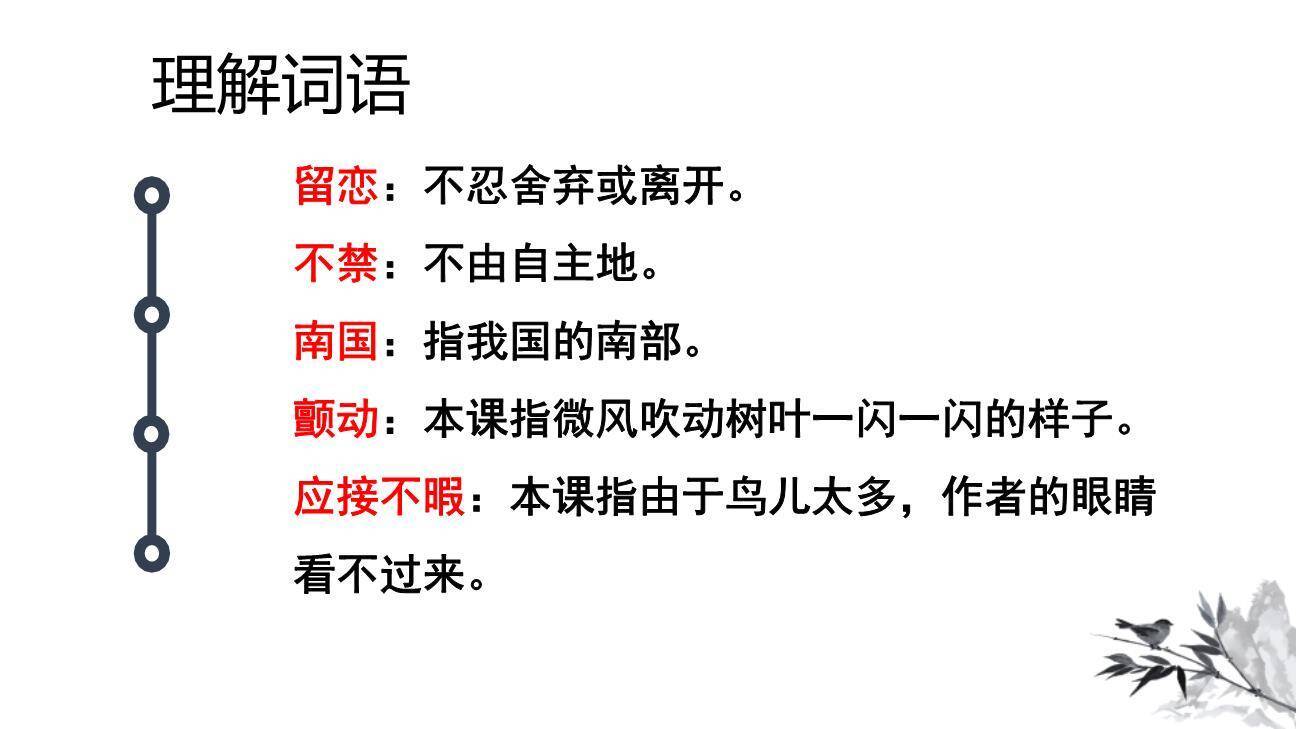 鸟的天堂PPT课件87