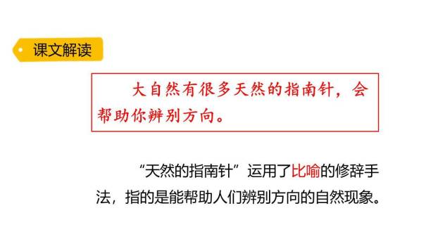 要是你在野外迷了路PPT课件86