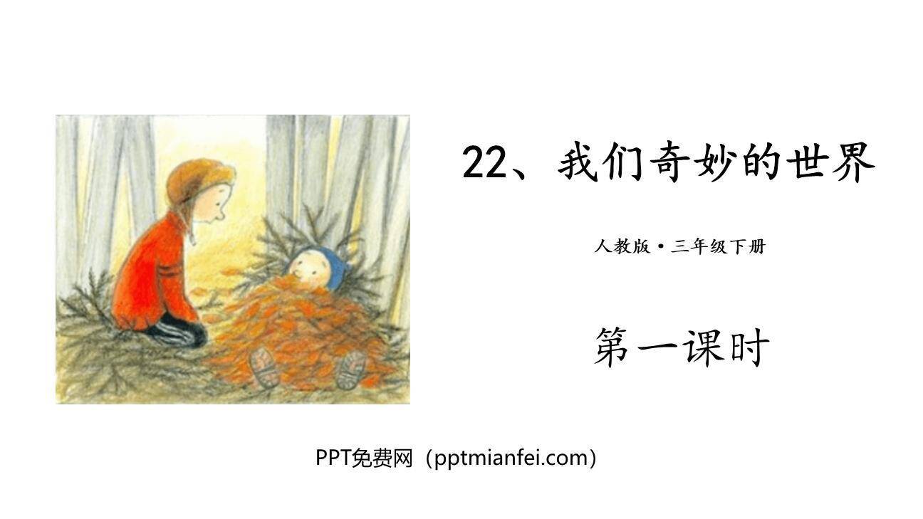 我们奇妙的世界PPT课件30