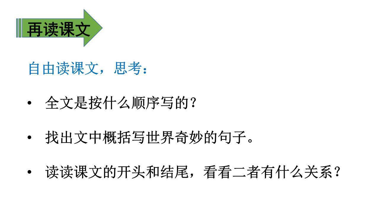 我们奇妙的世界PPT课件33