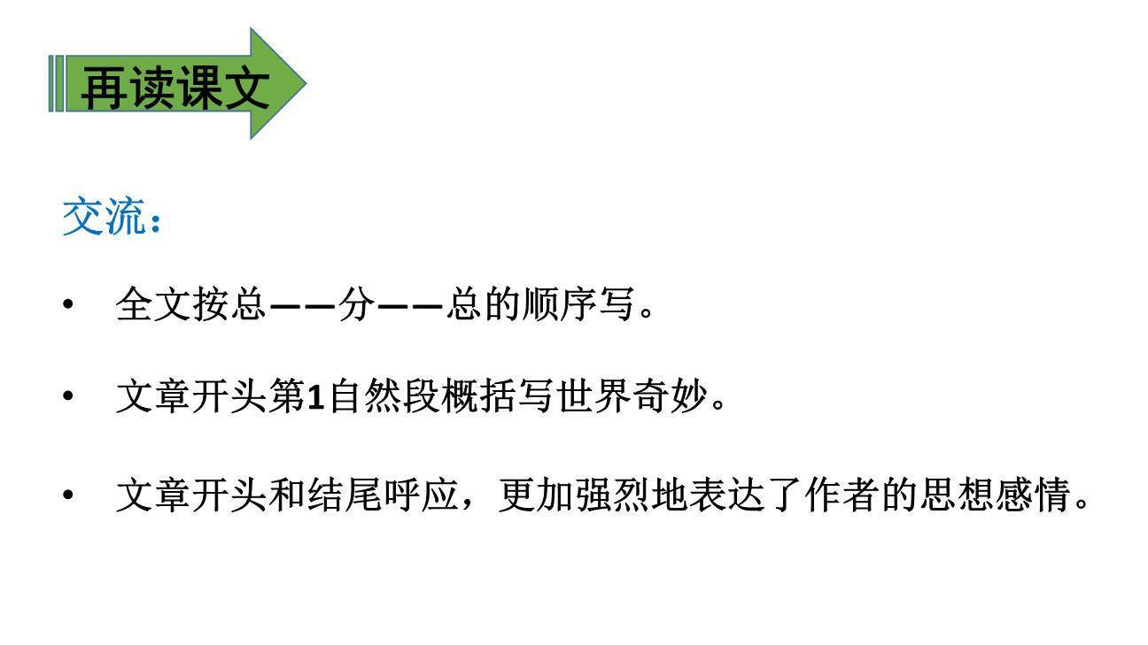 我们奇妙的世界PPT课件34