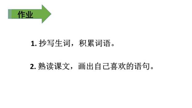 我们奇妙的世界PPT课件35