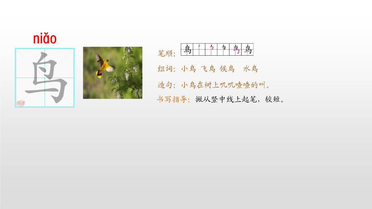 大小多少PPT课件74