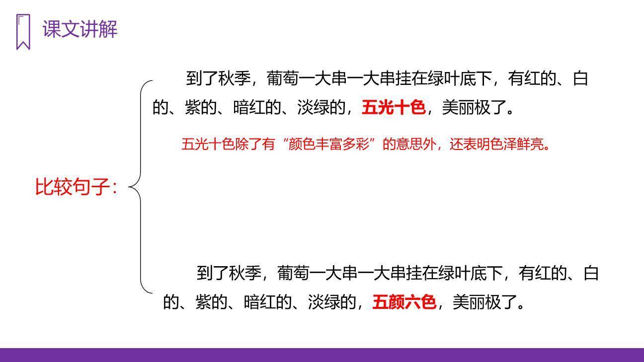 葡萄沟PPT课件36