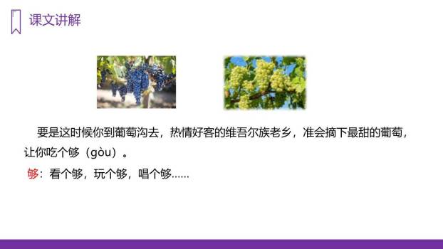 葡萄沟PPT课件37