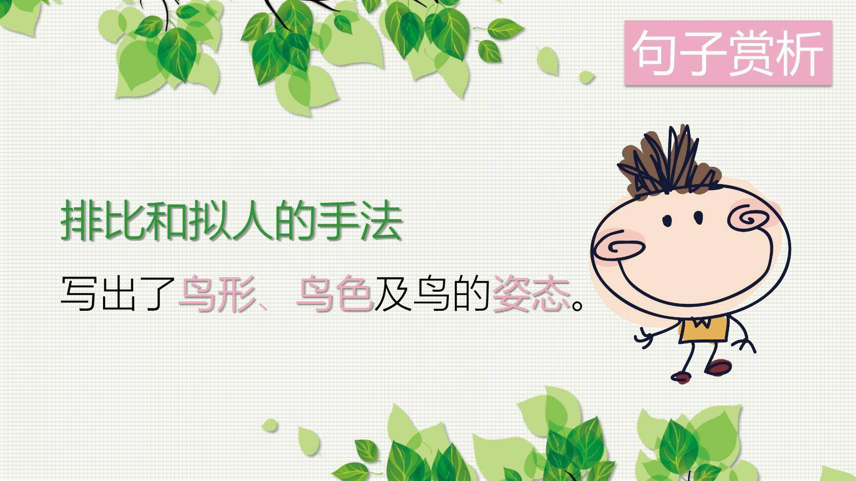 鸟的天堂PPT课件69