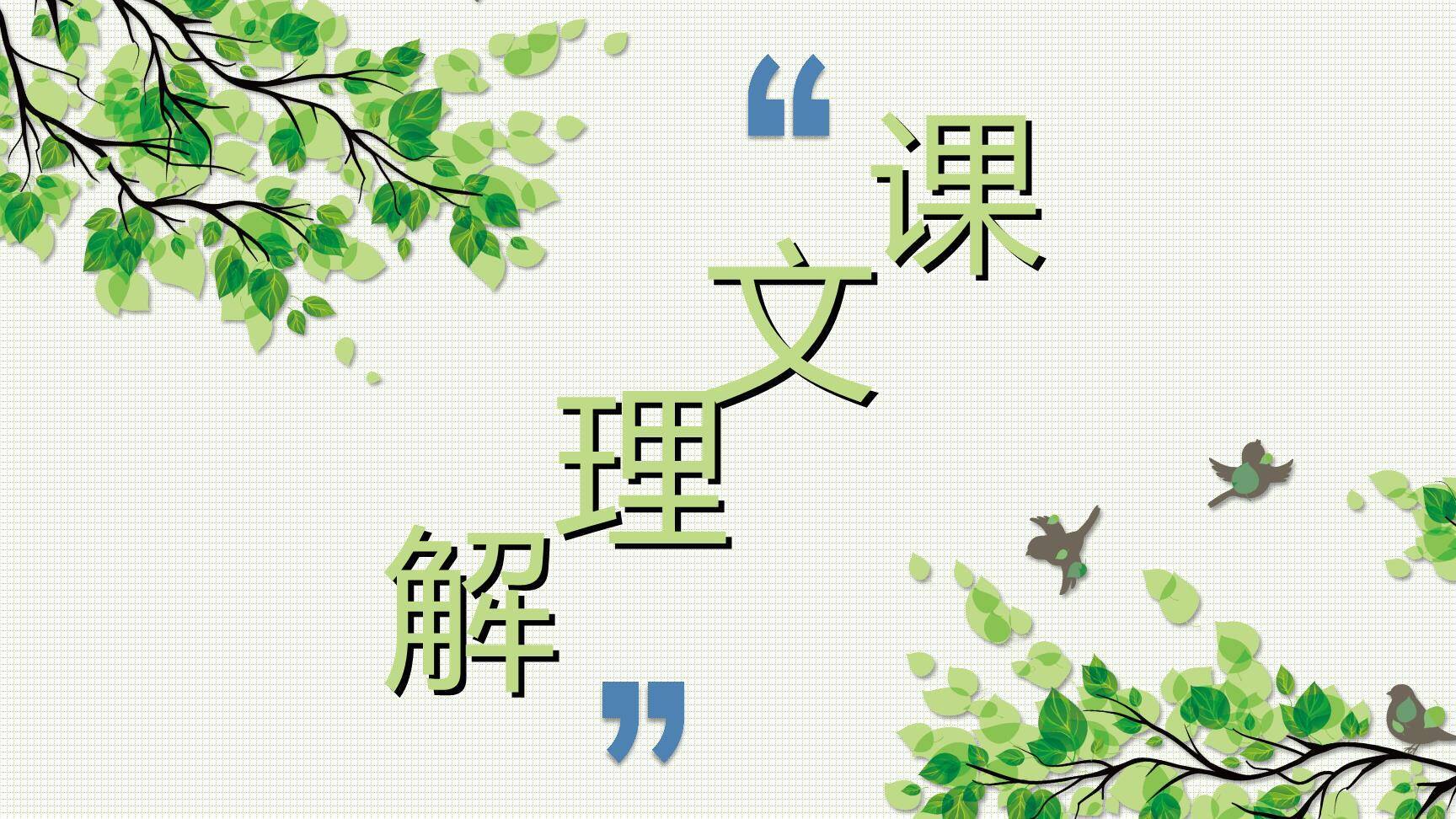 鸟的天堂PPT课件61