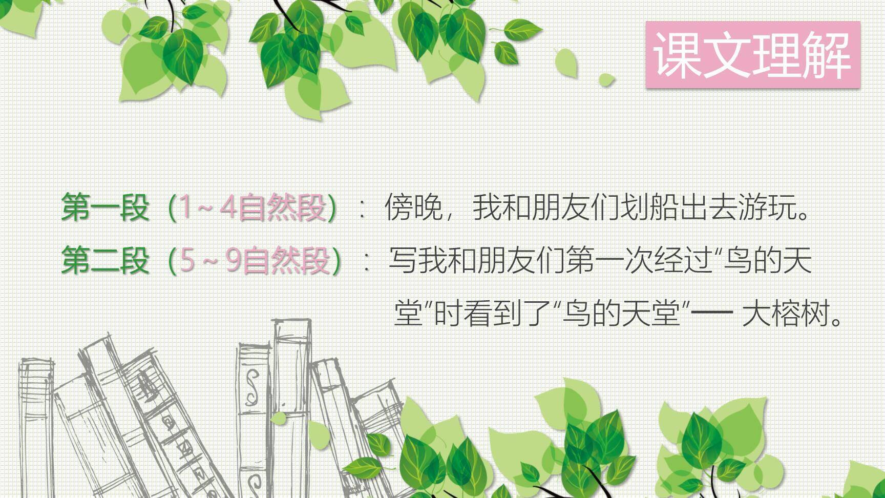 鸟的天堂PPT课件63