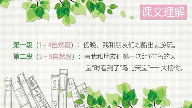 鸟的天堂PPT课件63