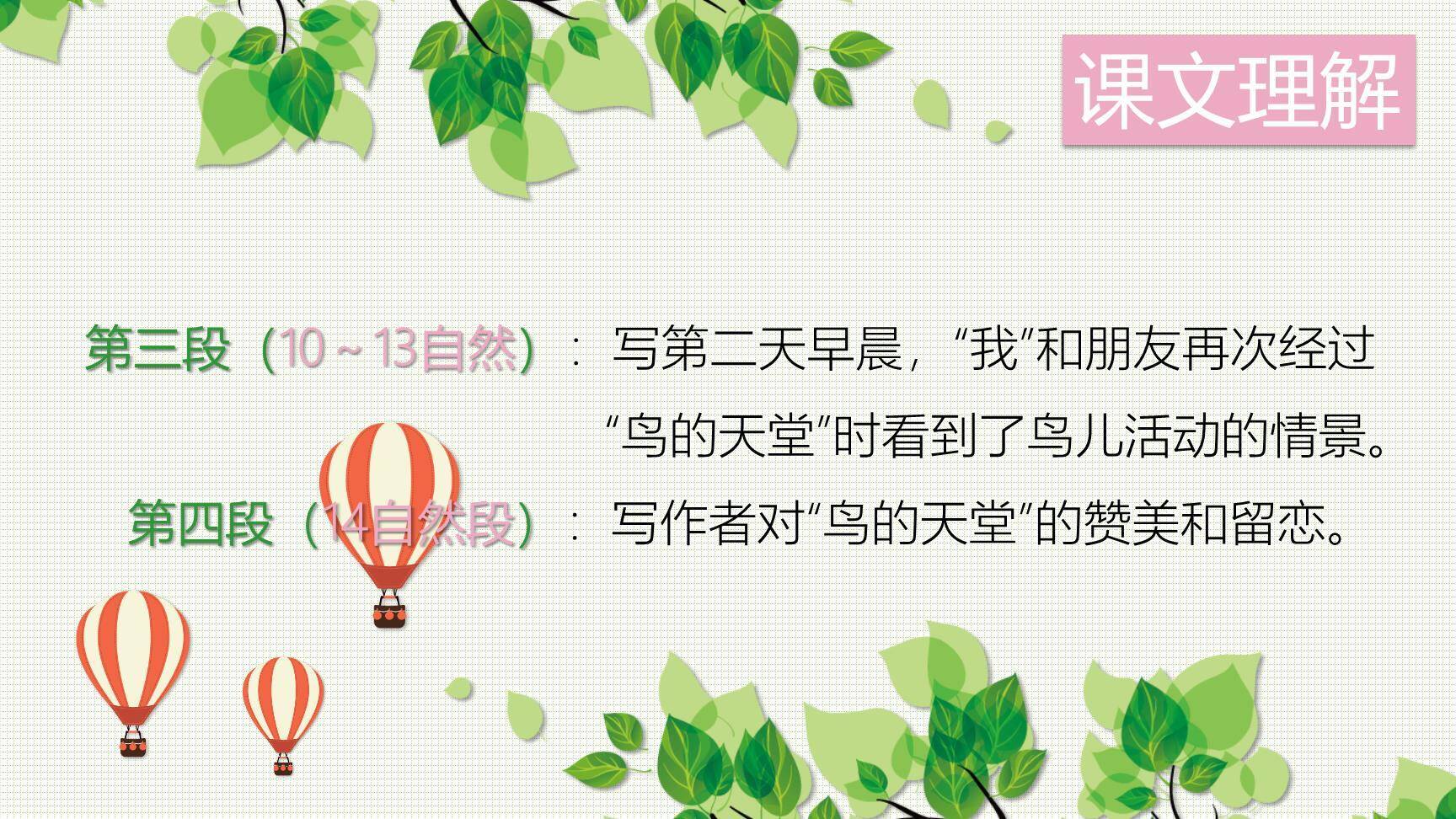 鸟的天堂PPT课件64