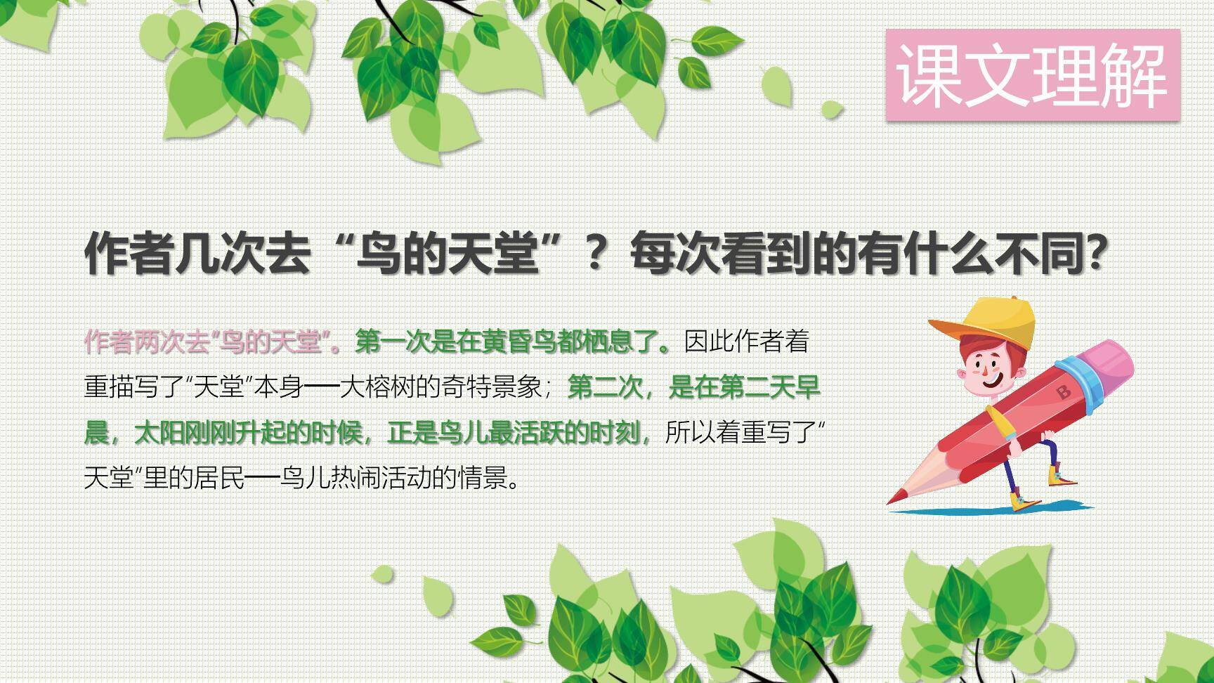 鸟的天堂PPT课件65