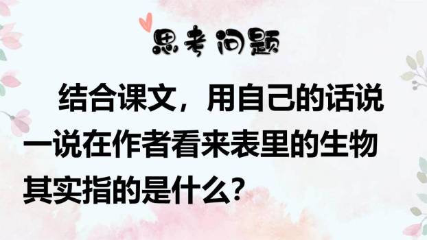 表里的生物PPT课件26