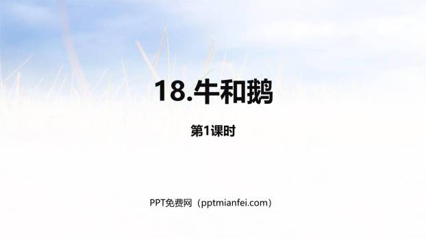 牛和鹅PPT课件30