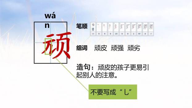 牛和鹅PPT课件31