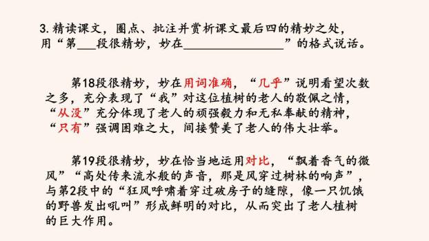 植树的牧羊人PPT课件62