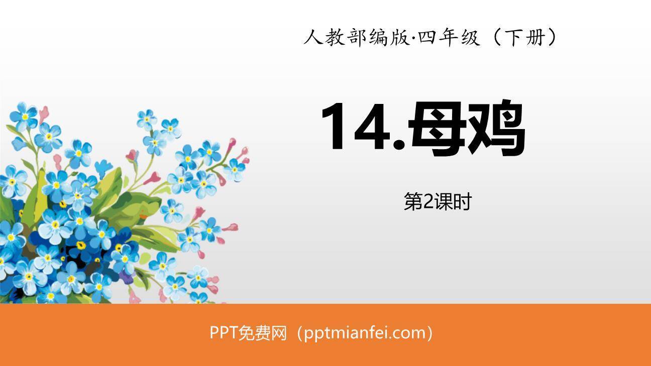 母鸡PPT课件30