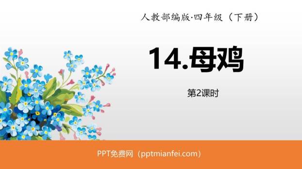 母鸡PPT课件30