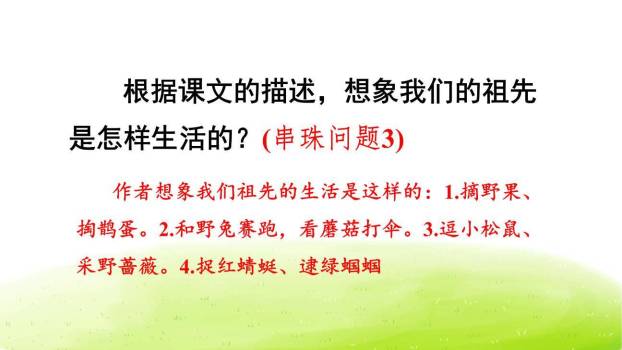 祖先的摇篮PPT课件72