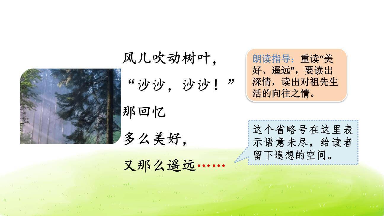 祖先的摇篮PPT课件74