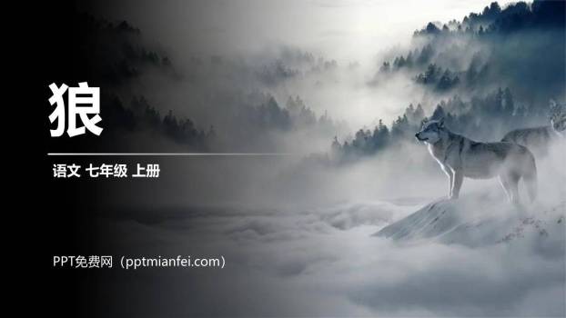 狼PPT课件50