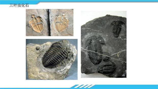 时间的脚印PPT课件62