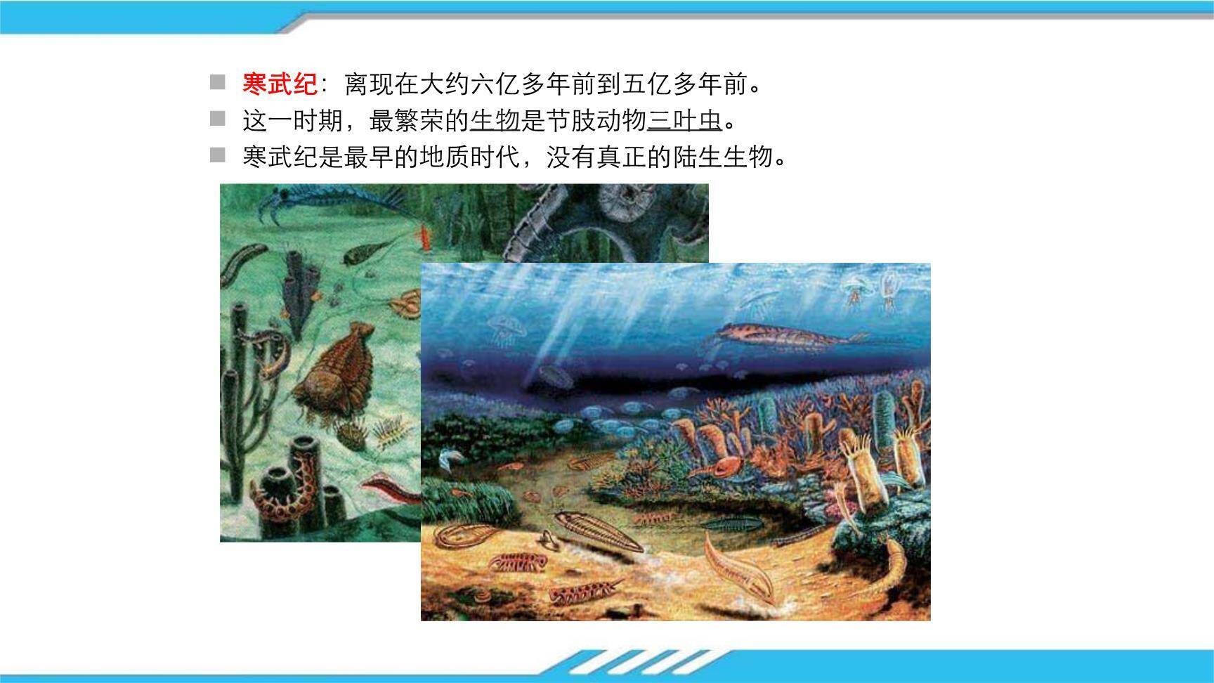 时间的脚印PPT课件63