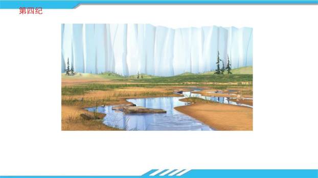 时间的脚印PPT课件65