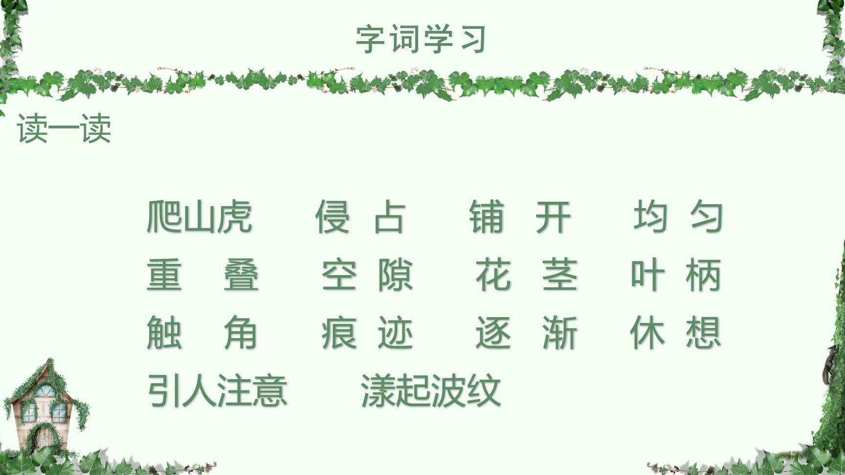 爬山虎的脚PPT课件19