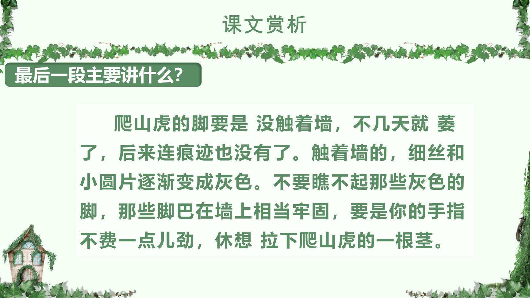 爬山虎的脚PPT课件15