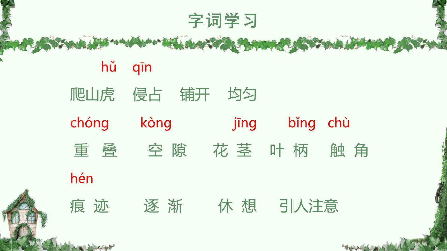 爬山虎的脚PPT课件17