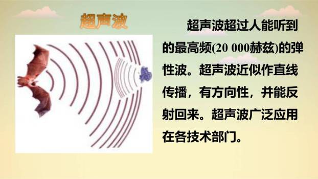 蝙蝠与雷达PPT课件77