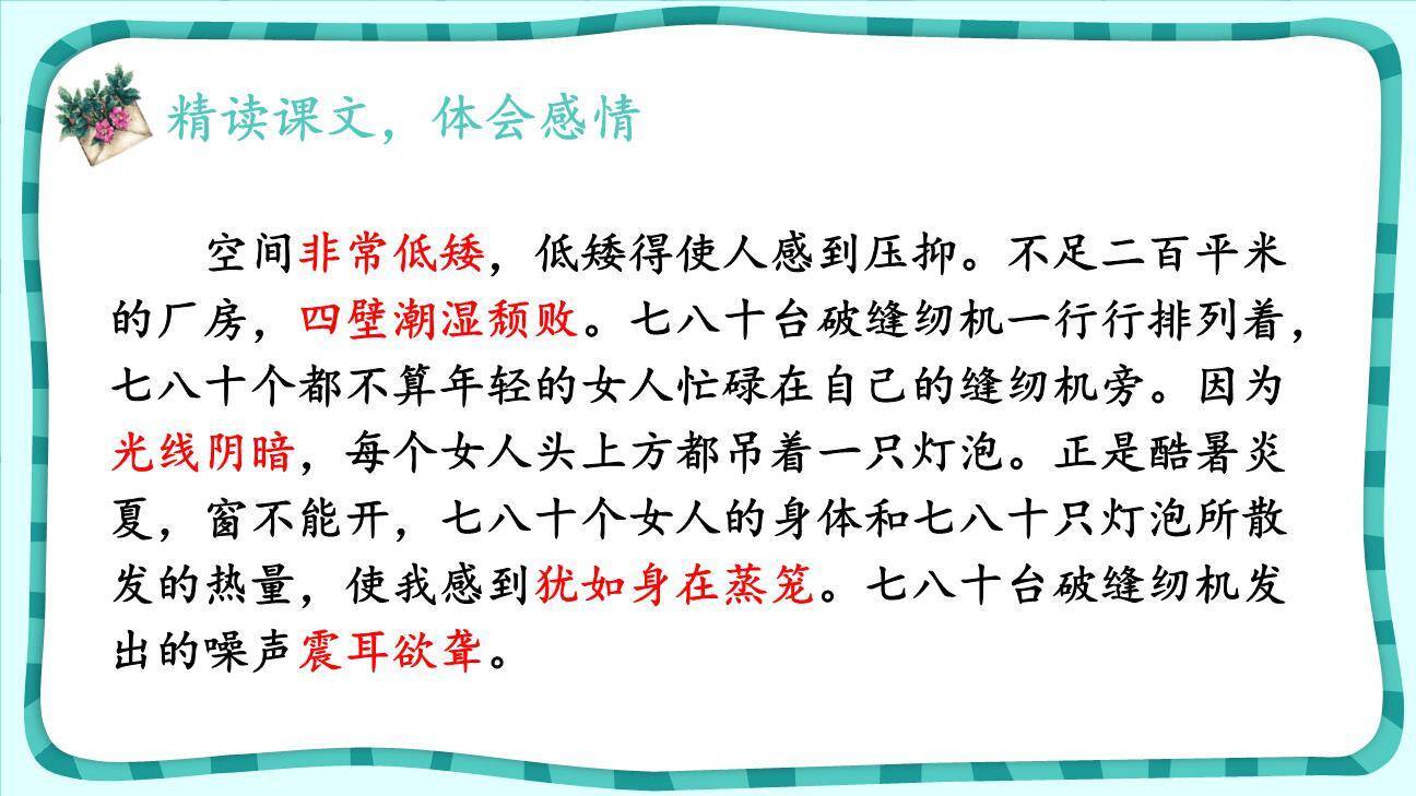 慈母情深PPT课件11